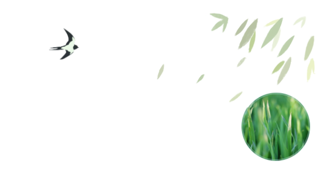 员工随笔丨抗“疫”过年，，，，，，各人都还好吗？？？？