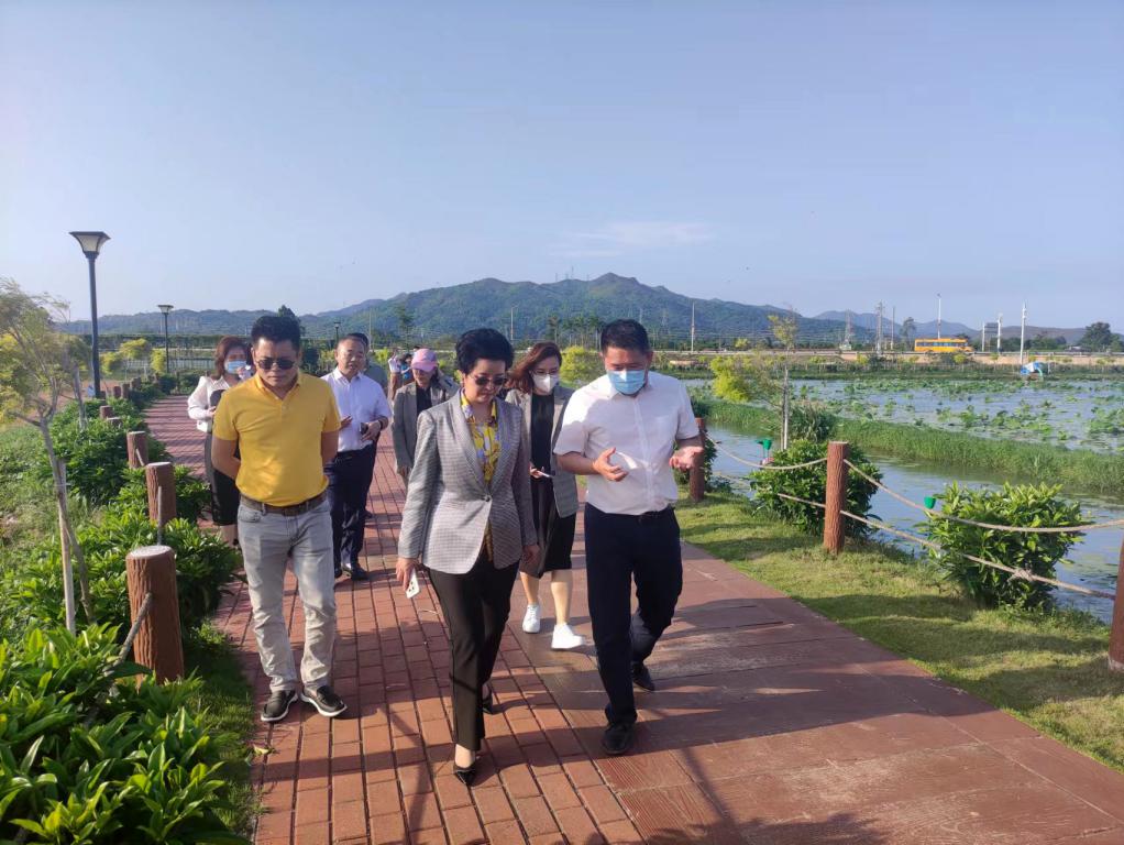 省生态修复协会轮值会长单位优德88集团带队赴汕尾全域土地整治军民融合试点项目调研