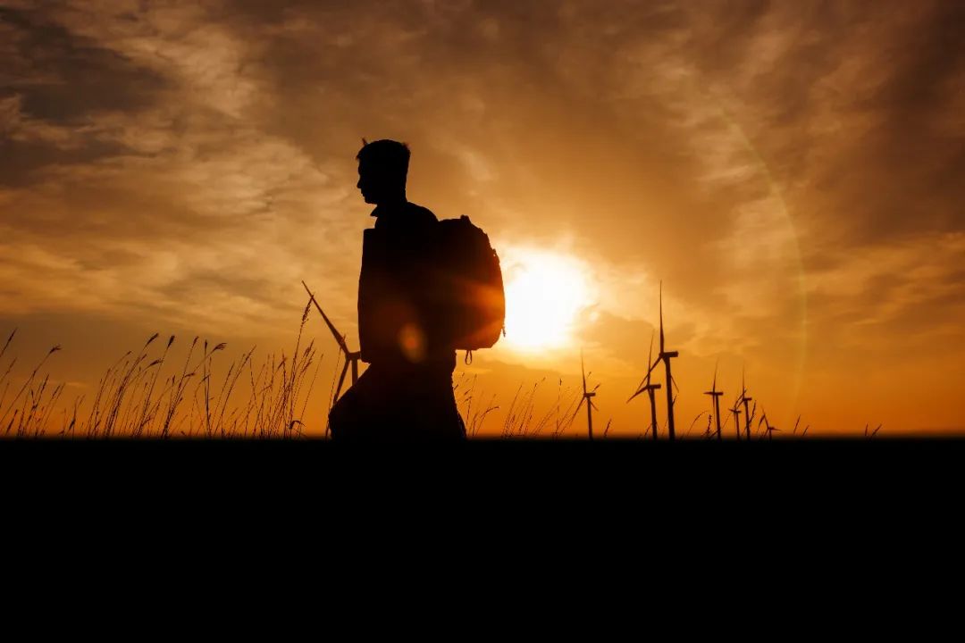 优德8812周年征文丨一等奖《此心安处是吾乡》