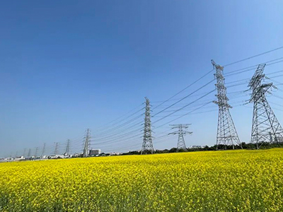 优德88妄想丨央视点赞东莞厚街复耕良田盛开迎春花！