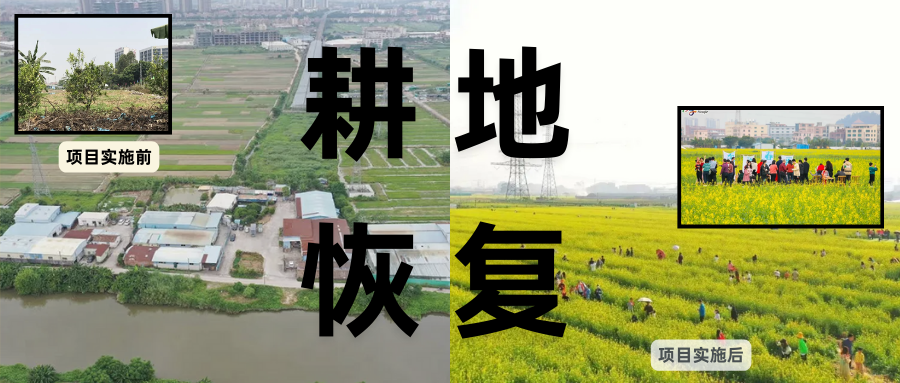 耕地；；；；；び刖蒙す踩凇甘泻窠终蛩谏缜读继锵钅扛鼗指从氤窍缛诤系牧⒁焓导