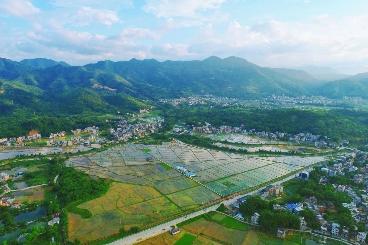 优德88集团丨“百万万工程”显实效：云浮罗定泗纶镇以全域土地综合整治为抓手，，绘就墟落振兴新画卷