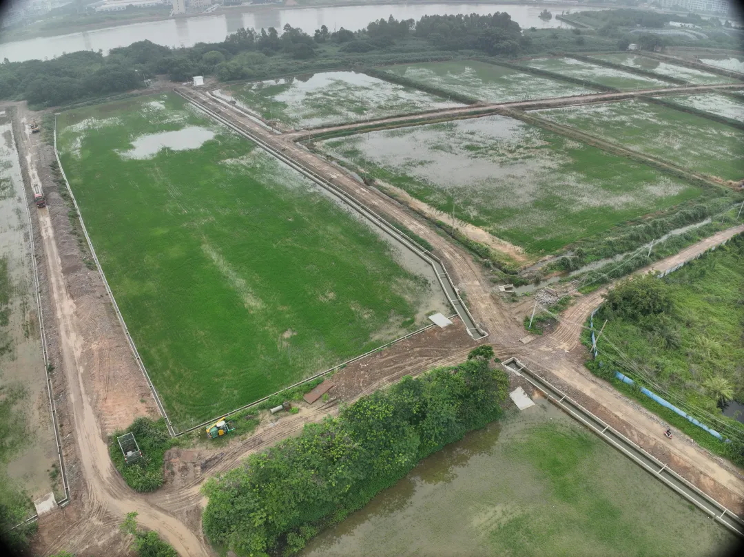 优德88集团丨复耕道滘撂荒地，，，，绘就田园新图景