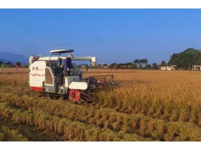 优德88评估与妄想公司荣获“耕地；；び乓煳朗康ノ弧保